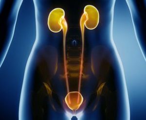 urologie-tunisie