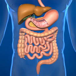 gastroenterologie tunisie